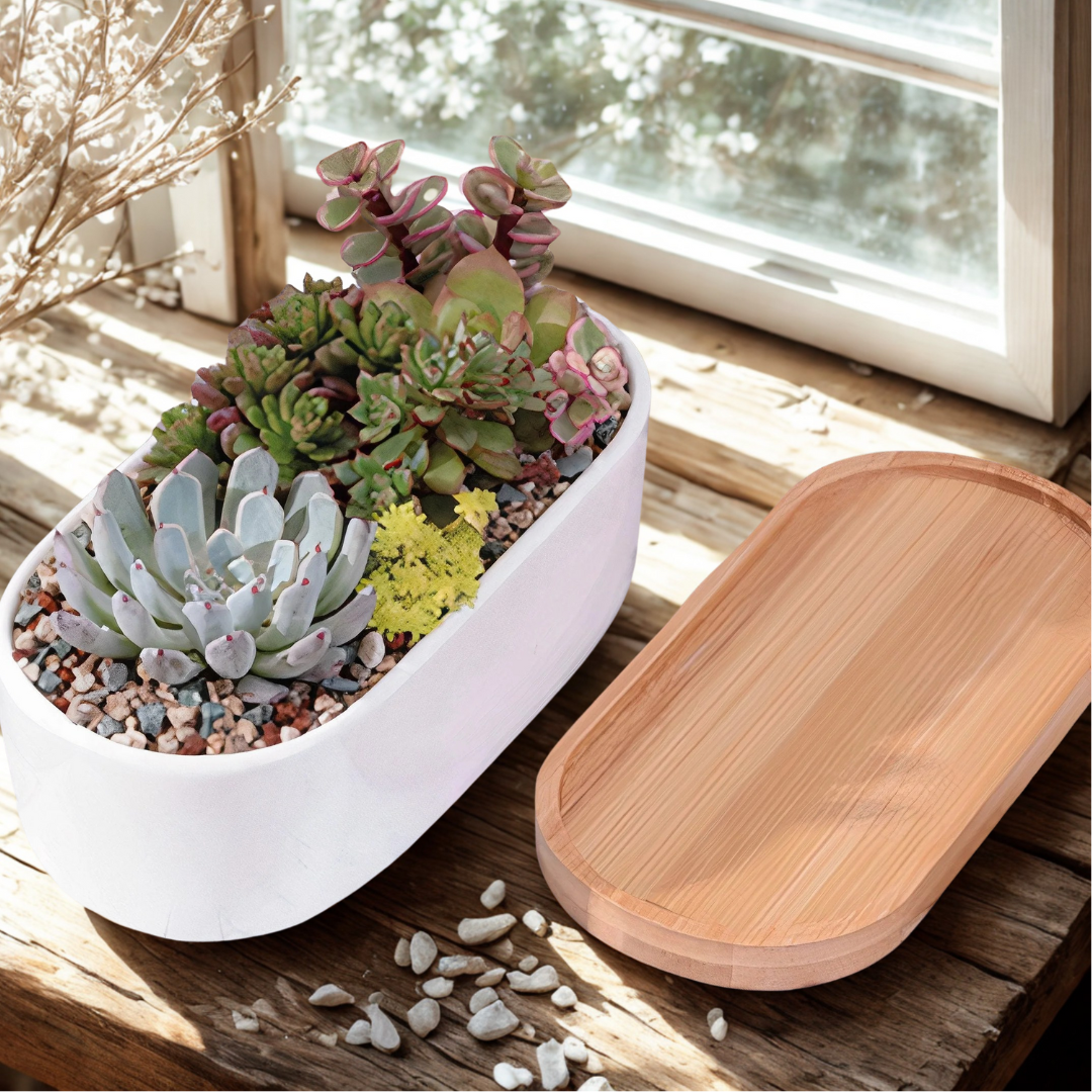 Elongated Ceramic Succulent Planter