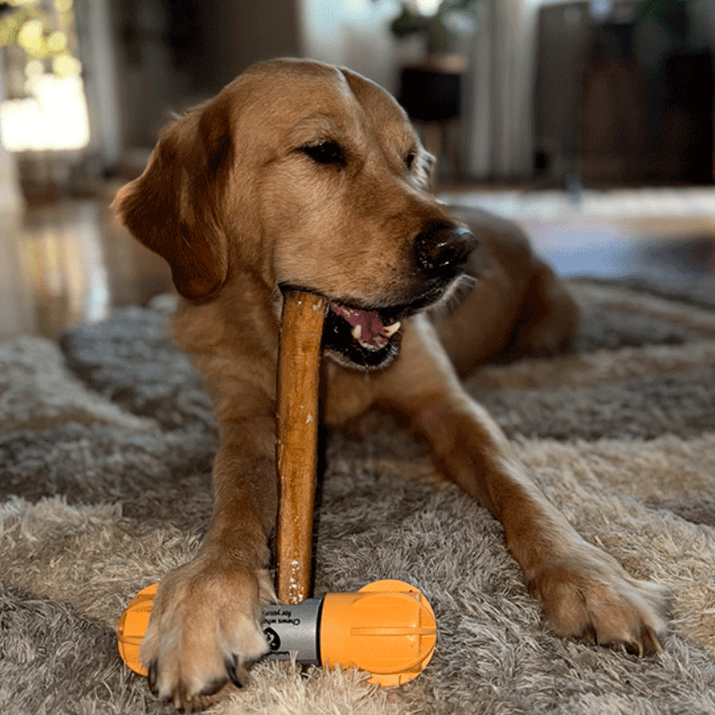 Safe Dog Chew Holder