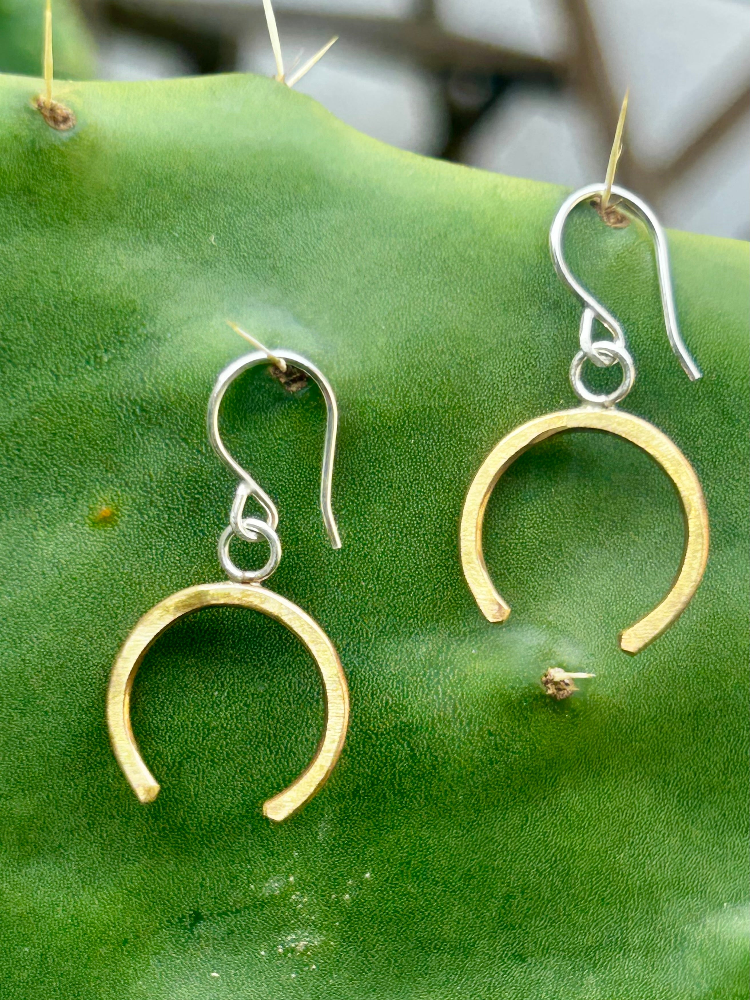 Lucky Horseshoe Drop Earrings-2