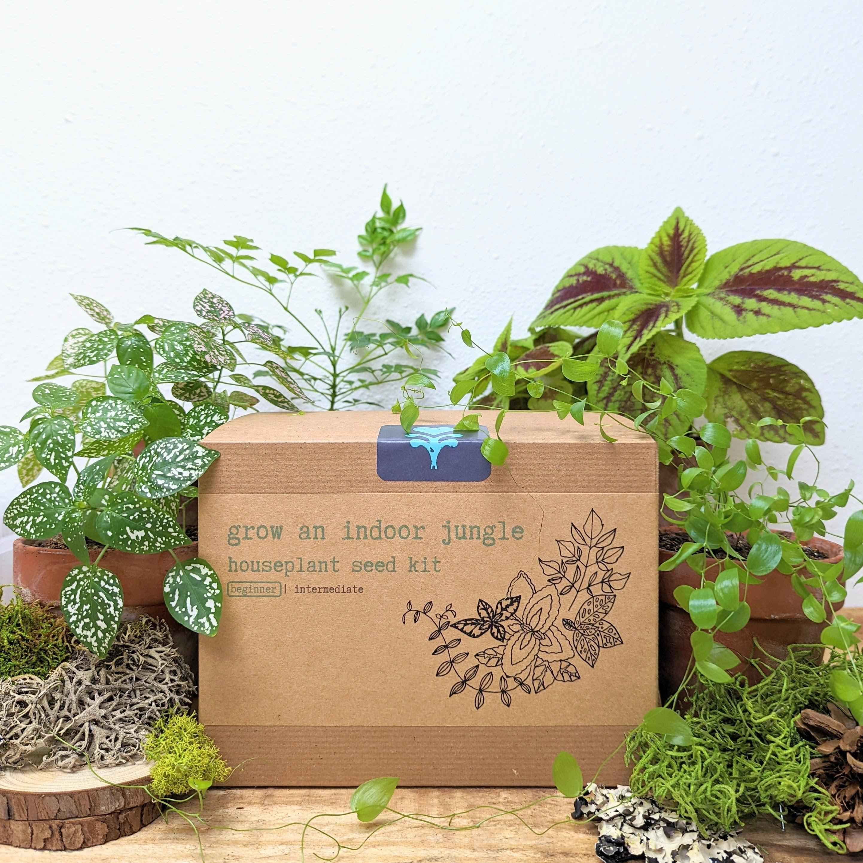 plant seed kits Grow an Indoor Jungle