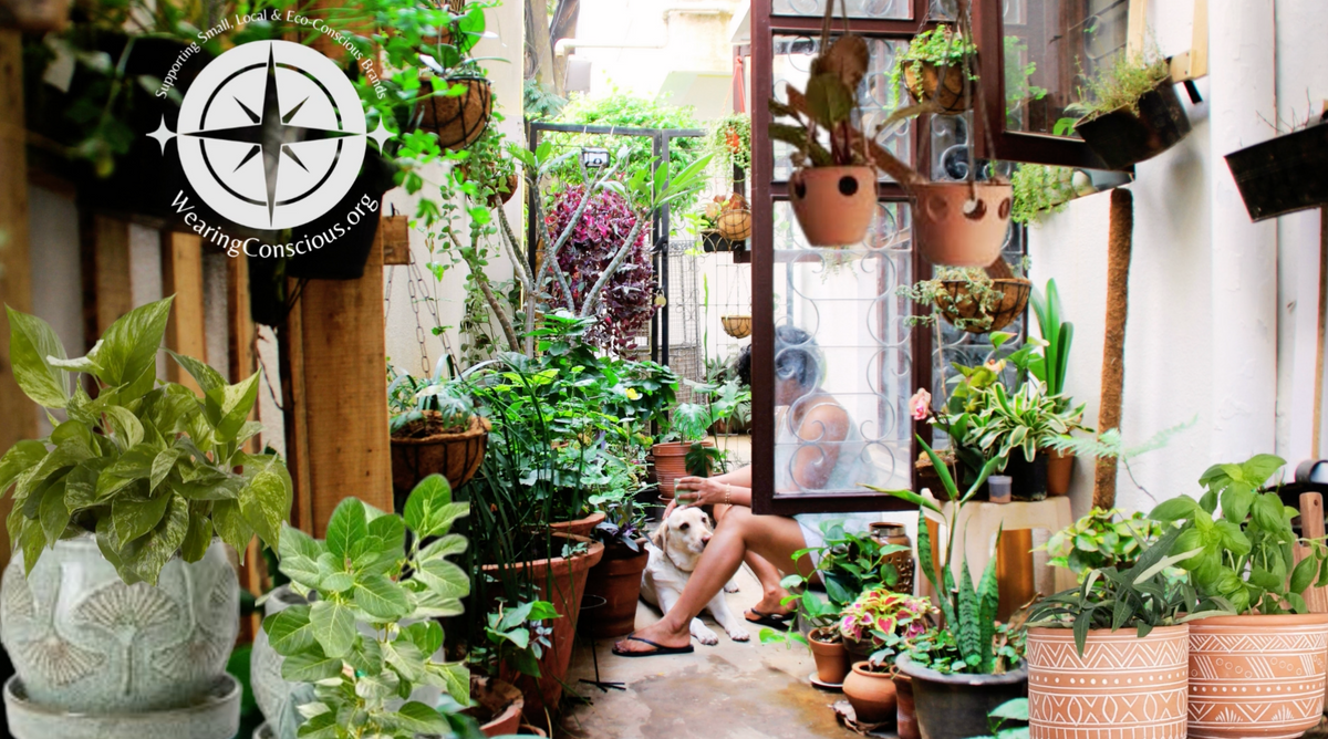Indoor garden with various potted plants and a person sitting on a bench.