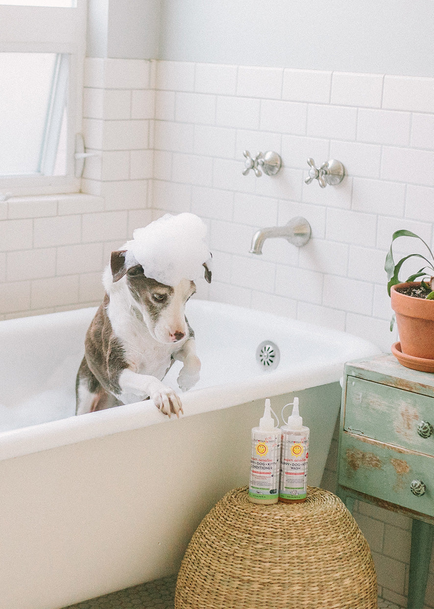Furry Pet Cleaning + Care