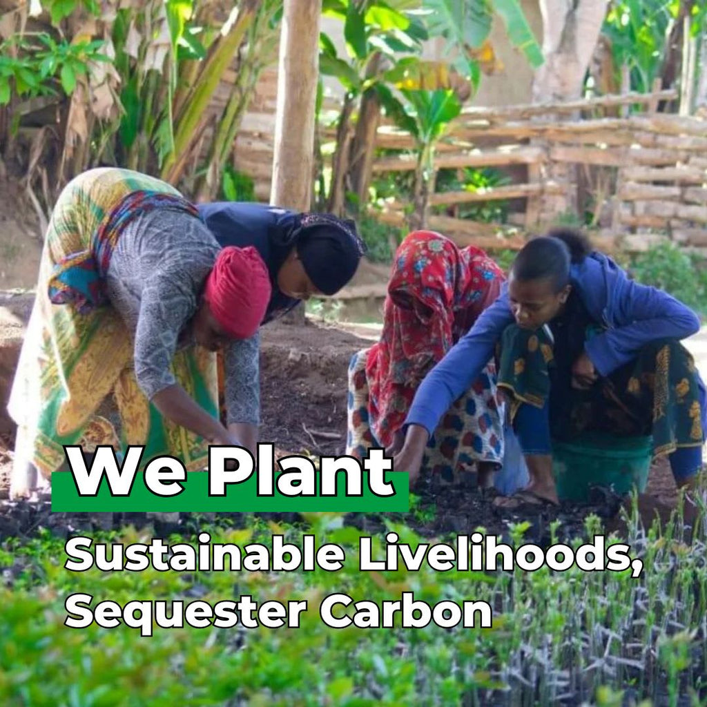 Congratulations Flowering Tree-3