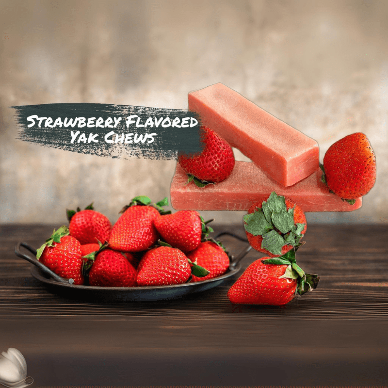 Strawberry Yak Chews