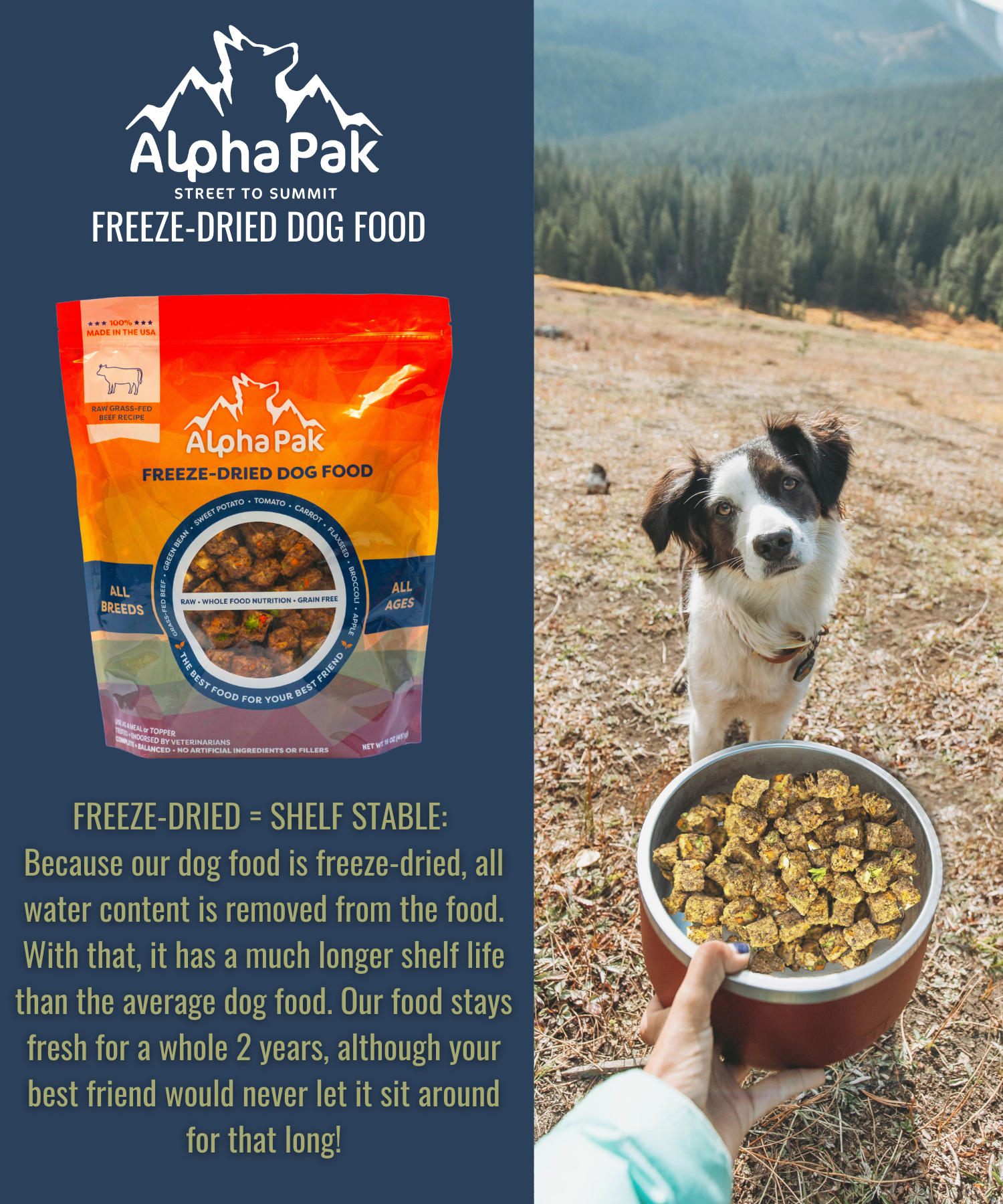 Premium Raw Freeze Dried Dog Food – Beef