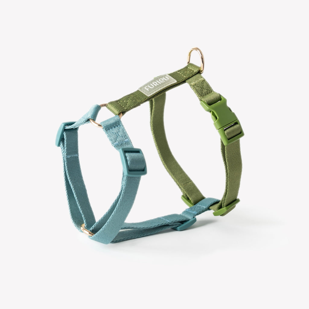 Blue and Green - Dog Harness