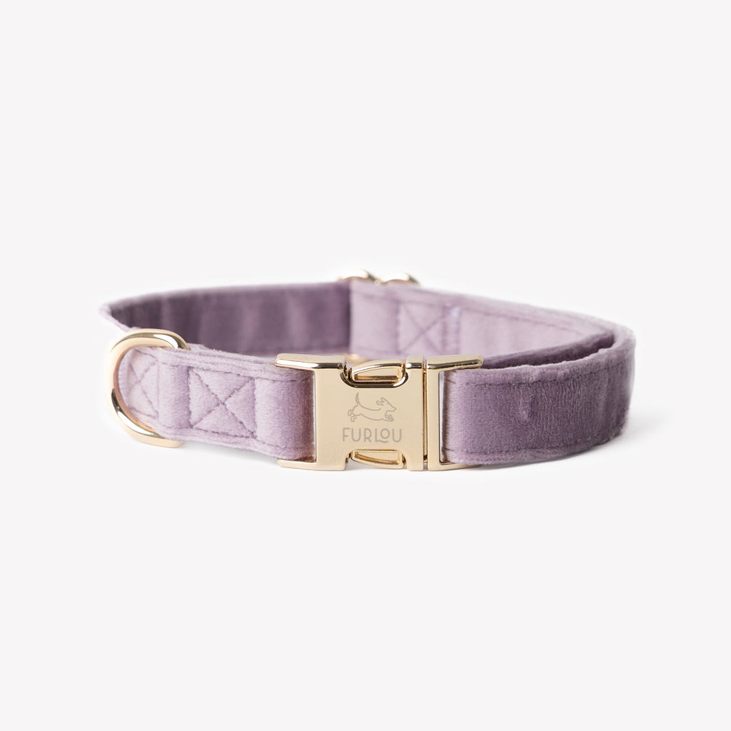 'Lilac' - Velvet Dog Collar