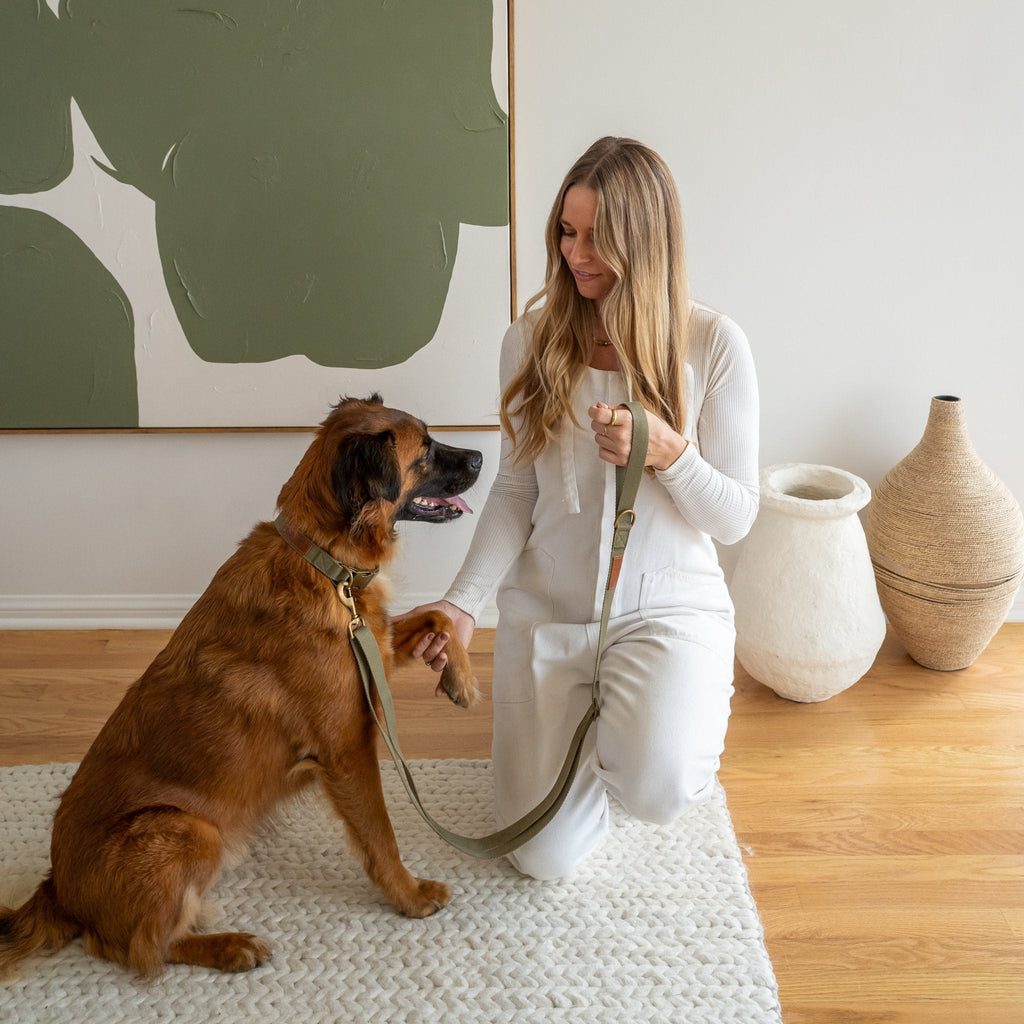 Hemp Cotton Dog Leash - Durable, Sustainable, Adjustable, Lightweight & Soft