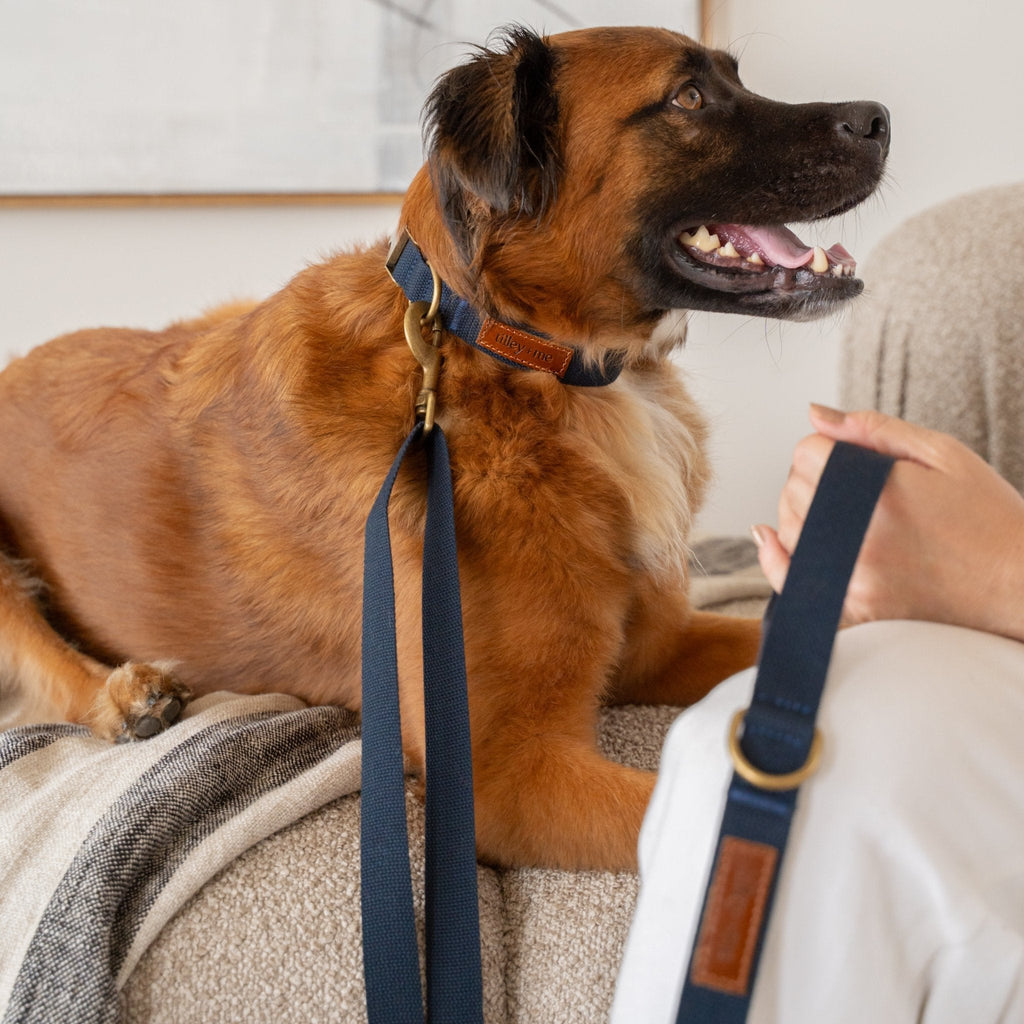 Hemp Cotton Dog Leash - Durable, Sustainable, Adjustable, Lightweight & Soft