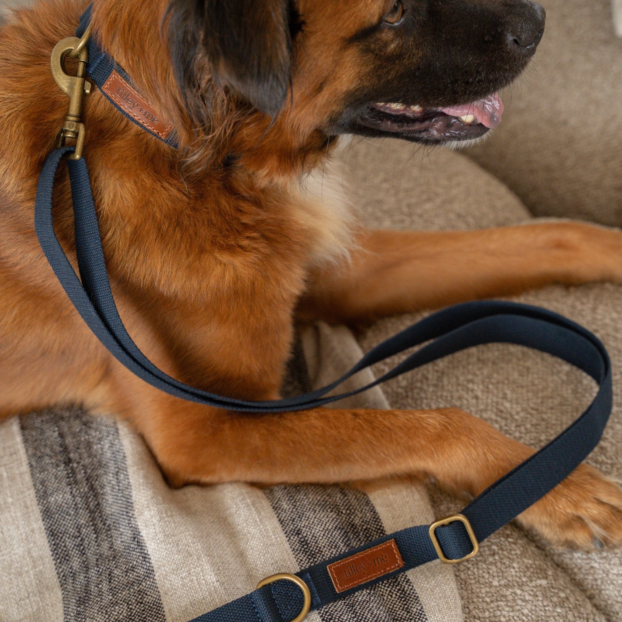 Hemp Cotton Dog Leash - Durable, Sustainable, Adjustable, Lightweight & Soft