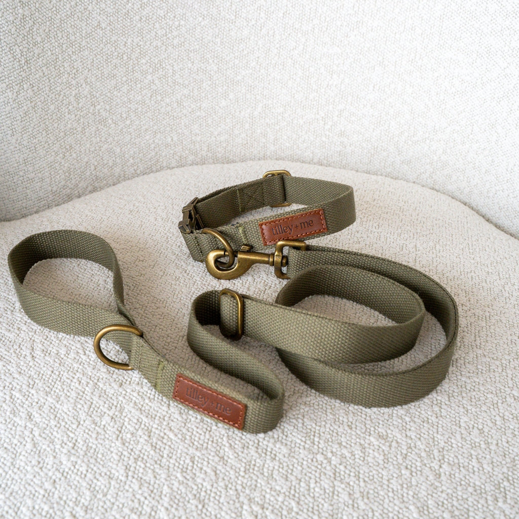 Hemp Cotton Dog Collar - Durable, Sustainable, Adjustable, Lightweight & Soft
