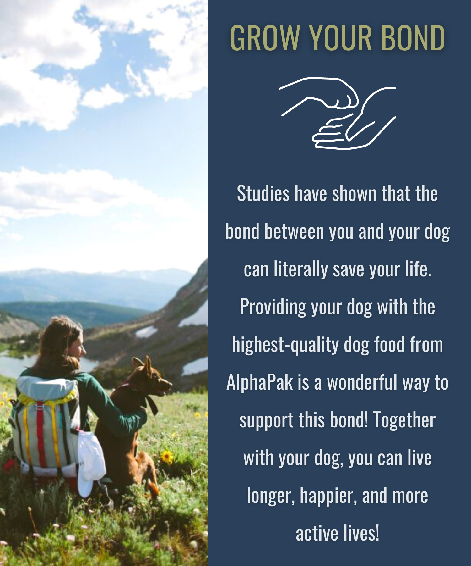 Premium Raw Freeze Dried Dog Food – Beef