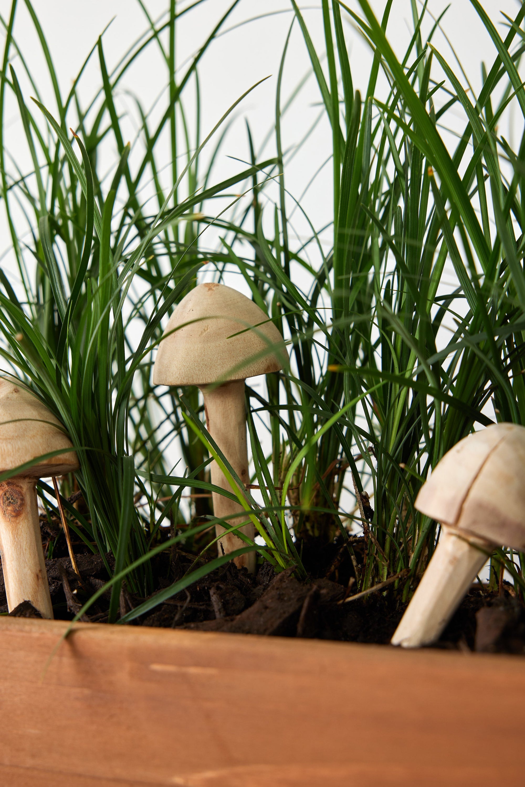 Wooden Mushroom Garden Stick – Hand Carved