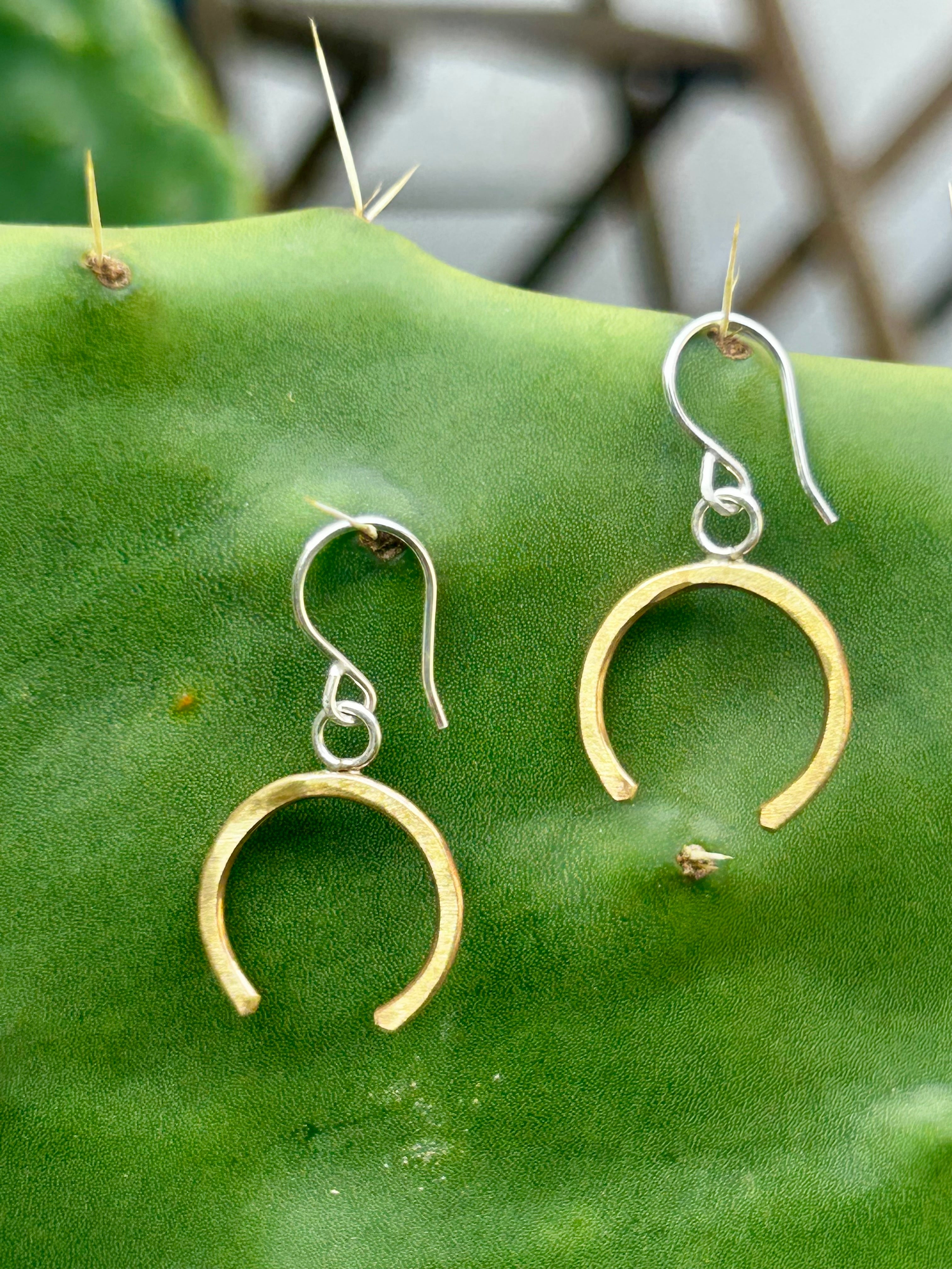 Lucky Horseshoe Drop Earrings-0
