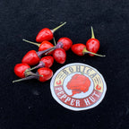 Girlyanda Hot Pepper Seeds