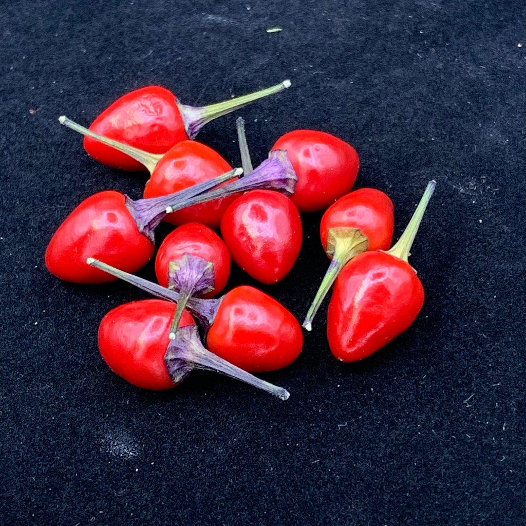 Girlyanda Hot Pepper Seeds