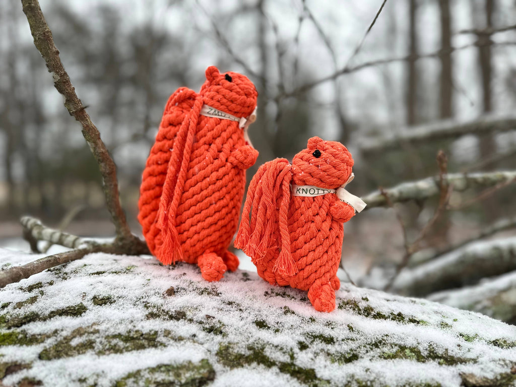 Monli Handcrafted Oliver the Squirrel Rope Dog + Cat Toy