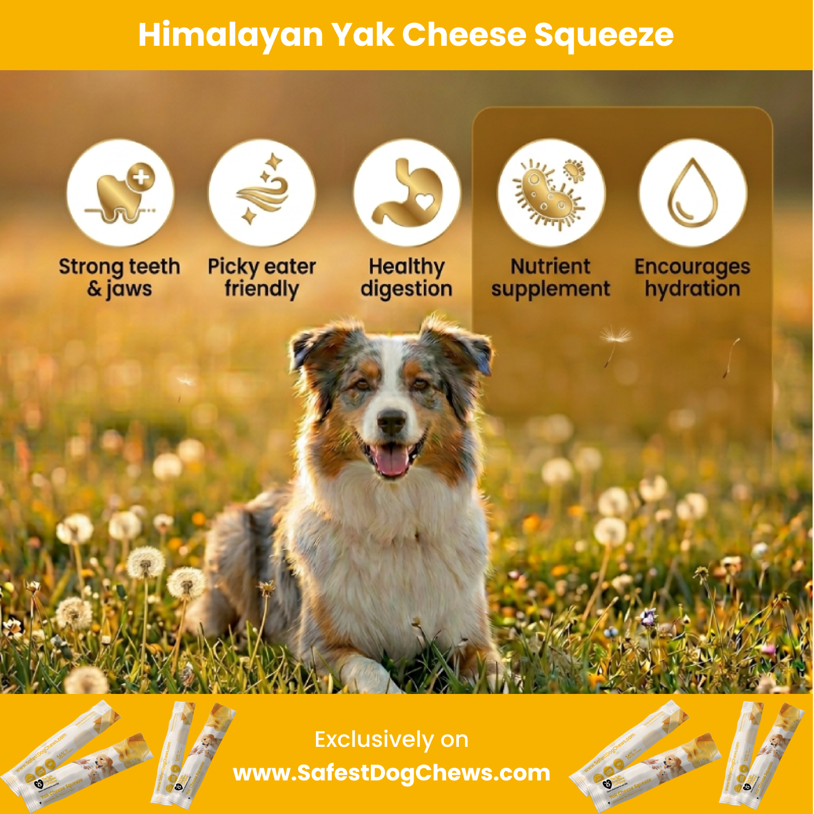 Yak Cheese Squeeze — Natural Meal Topper + Training Treat for Dogs