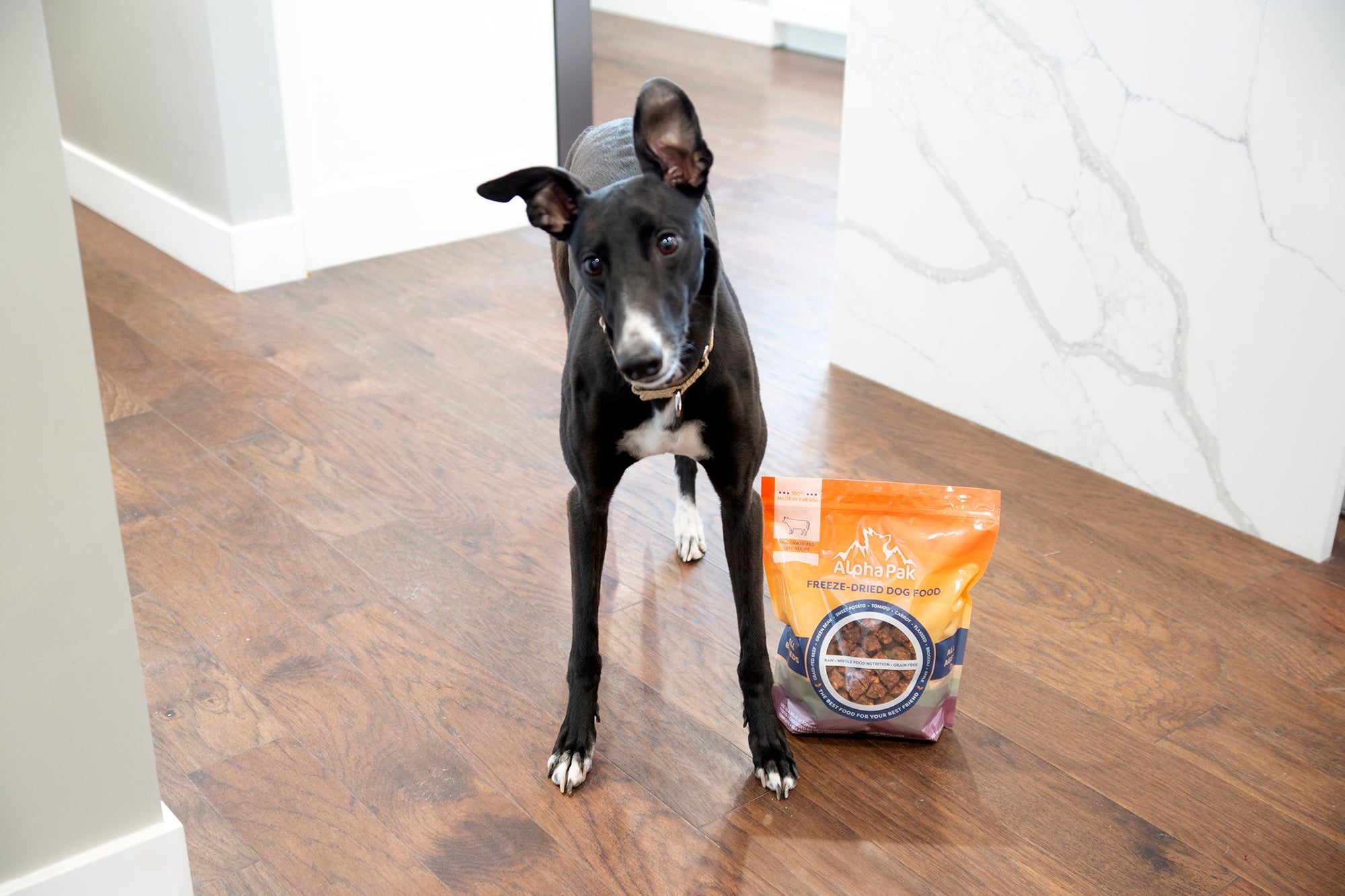 Premium Raw Freeze Dried Dog Food – Beef