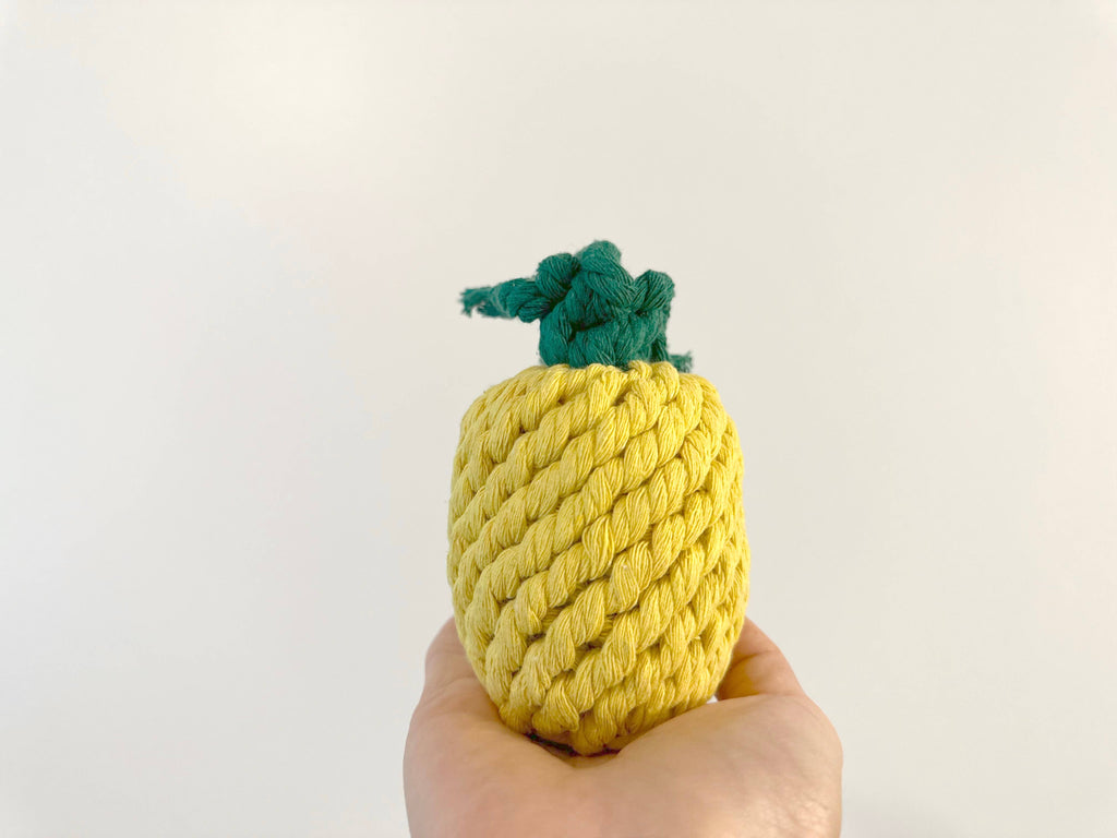 Monli Handcrafted Handmade Sustainable Pineapple Rope Toy