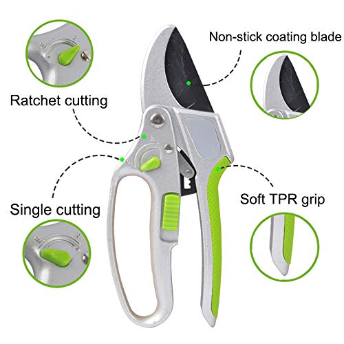2-in-1 Garden Ratchet Pruning Shears Clippers