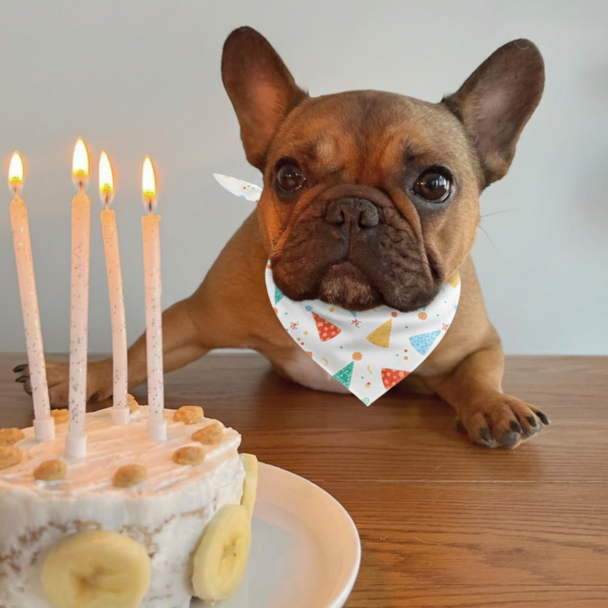 Birthday Dog Bandana