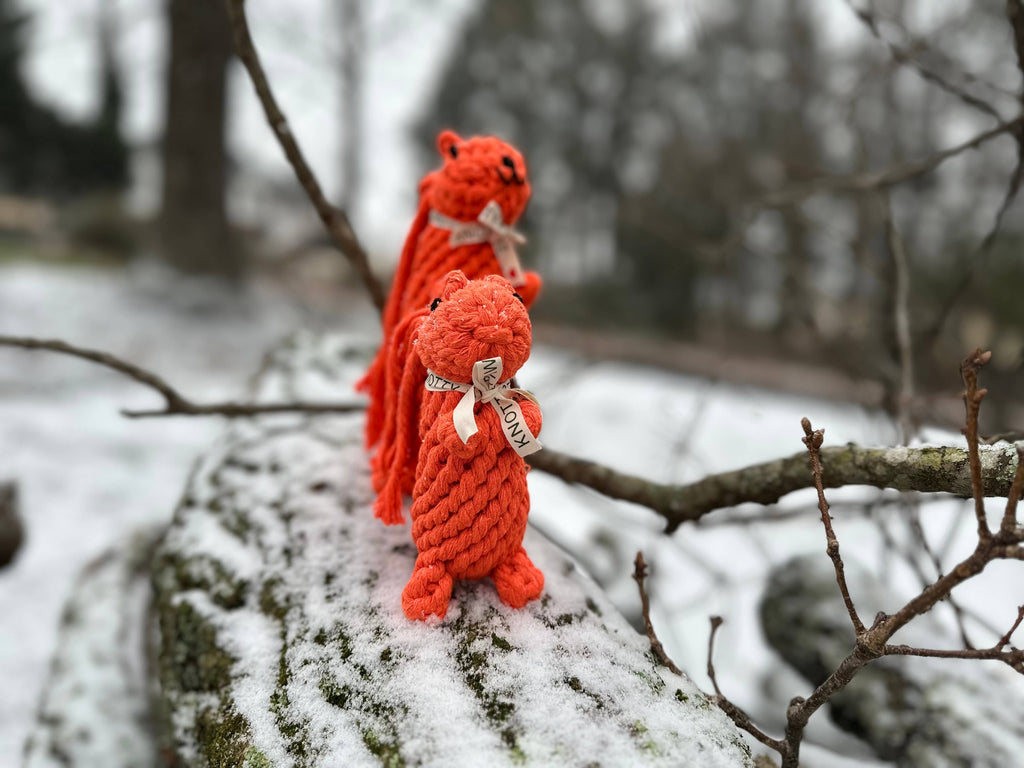 Monli Handcrafted Oliver the Squirrel Rope Dog + Cat Toy