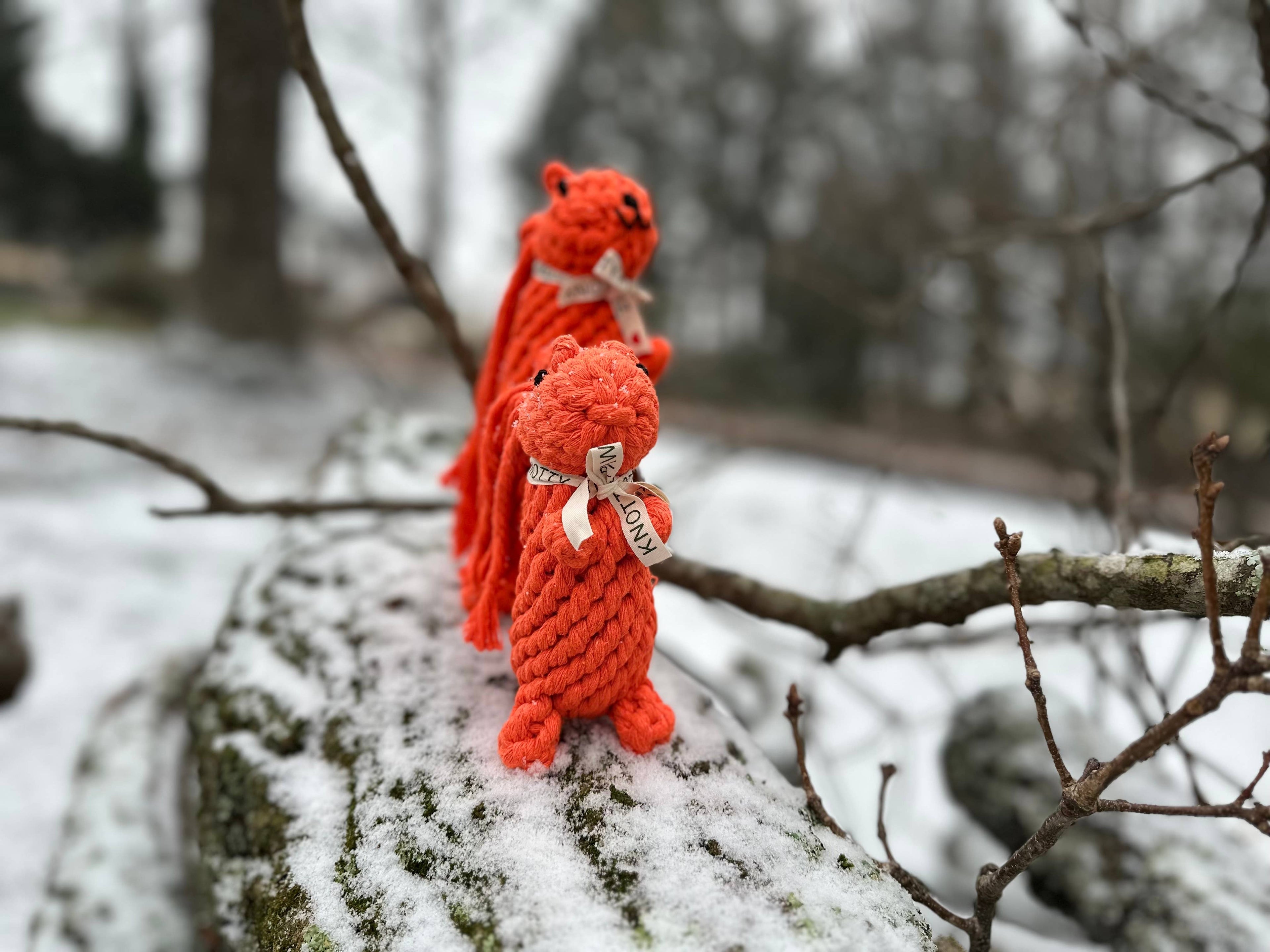 Monli Handcrafted Oliver the Squirrel Rope Dog + Cat Toy