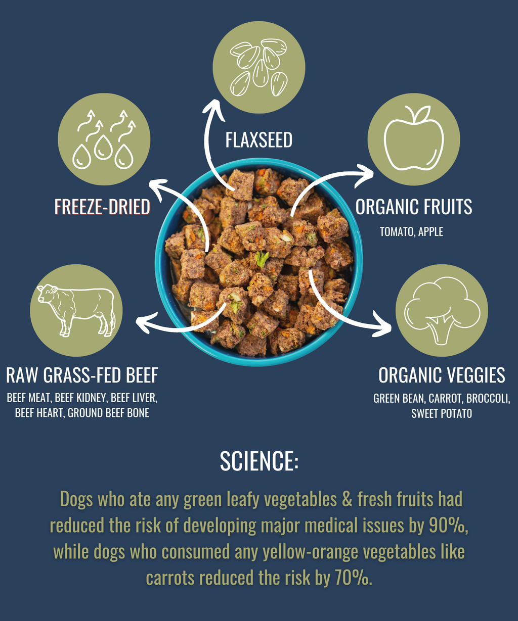 Premium Raw Freeze Dried Dog Food – Beef
