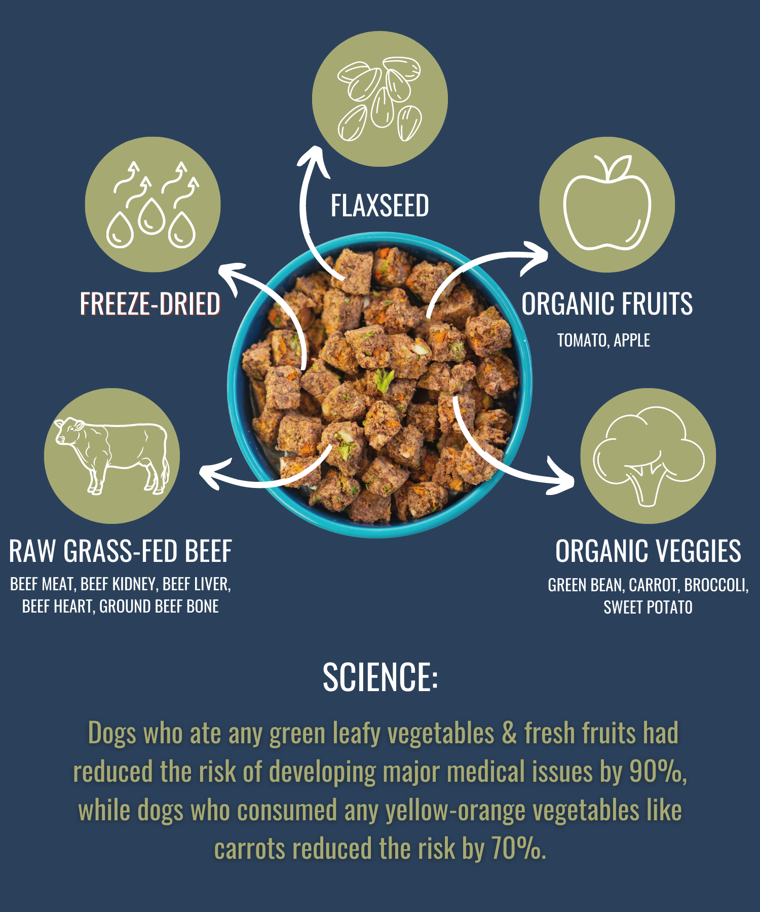 Premium Raw Freeze Dried Dog Food – Beef