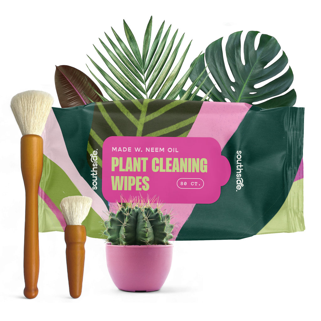 Houseplant Cleaning Wipes