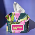 Houseplant Cleaning Wipes