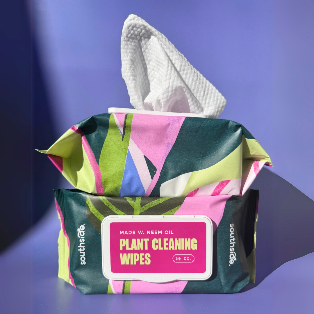 Houseplant Cleaning Wipes