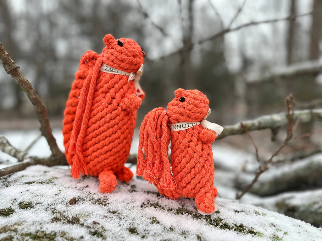 Monli Handcrafted Oliver the Squirrel Rope Dog + Cat Toy