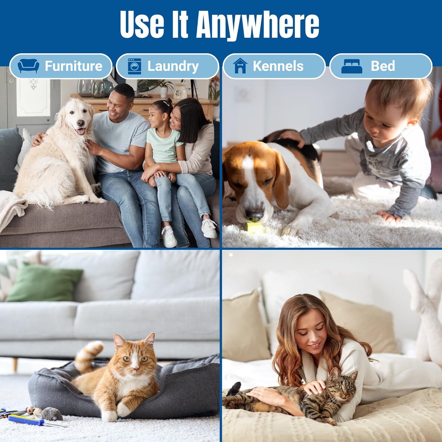 Bioclean Pet Carpet Cleaner