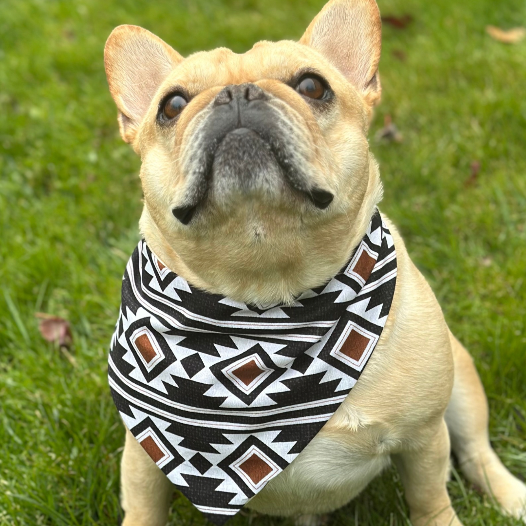 Southwest Dog Bandana – Personalization Available!