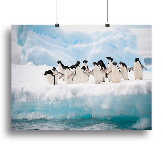Adelie penguins colony on the iceberg Canvas Print or Poster-0