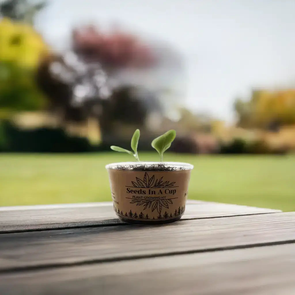 Seeds In A Cup® American Elm Tree Seed Starter Grow Kit