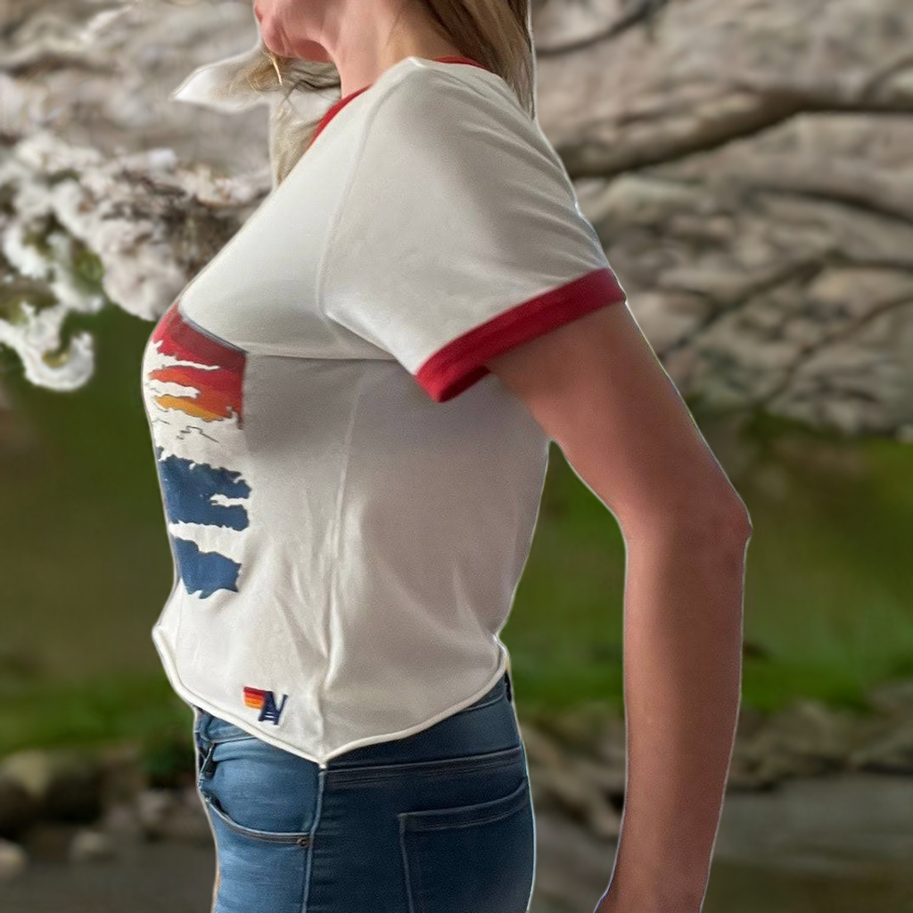 Aviator Nation Tsunami Rainbow 70s Style Cropped Tee