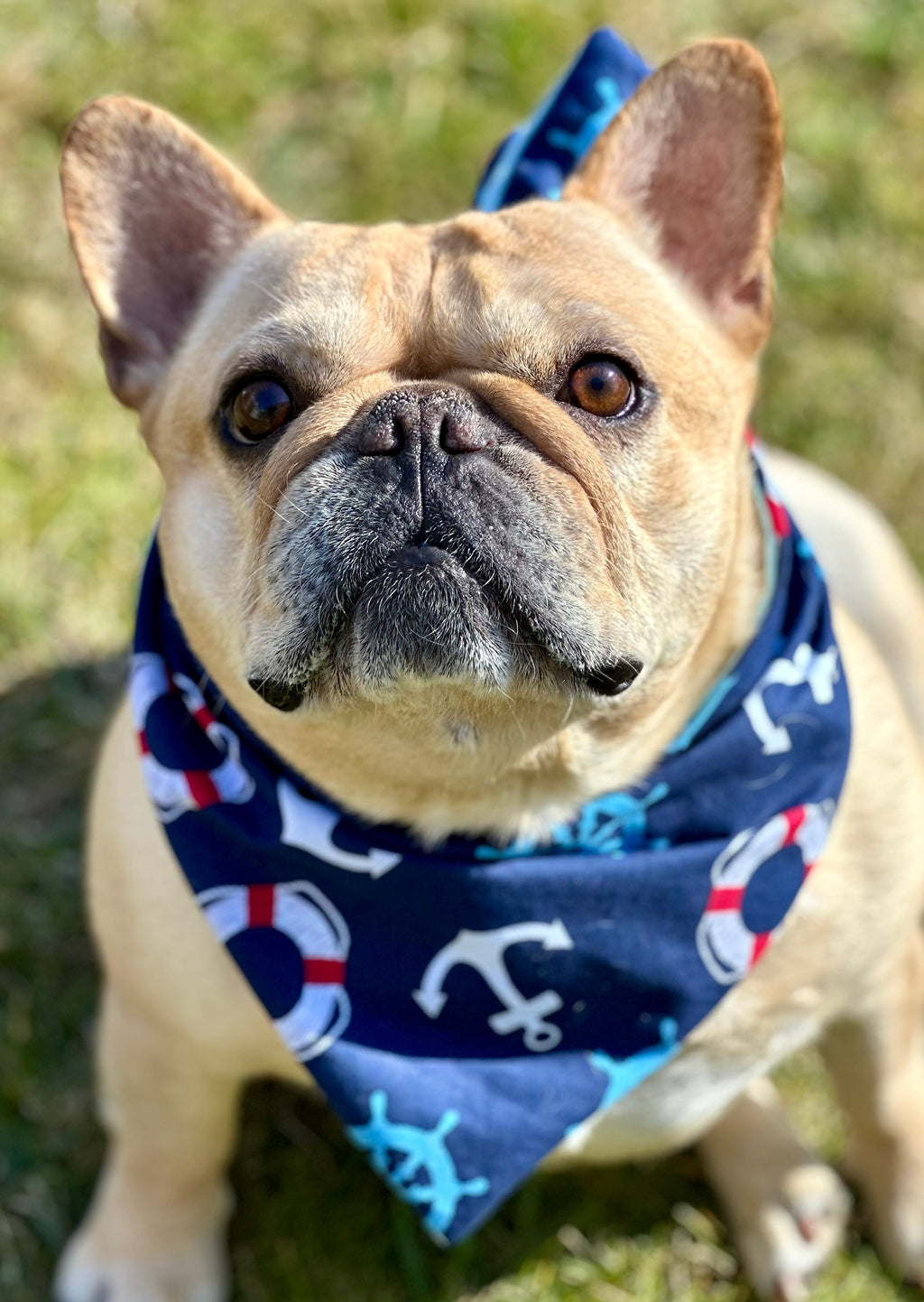 Nautical Dog Bandana