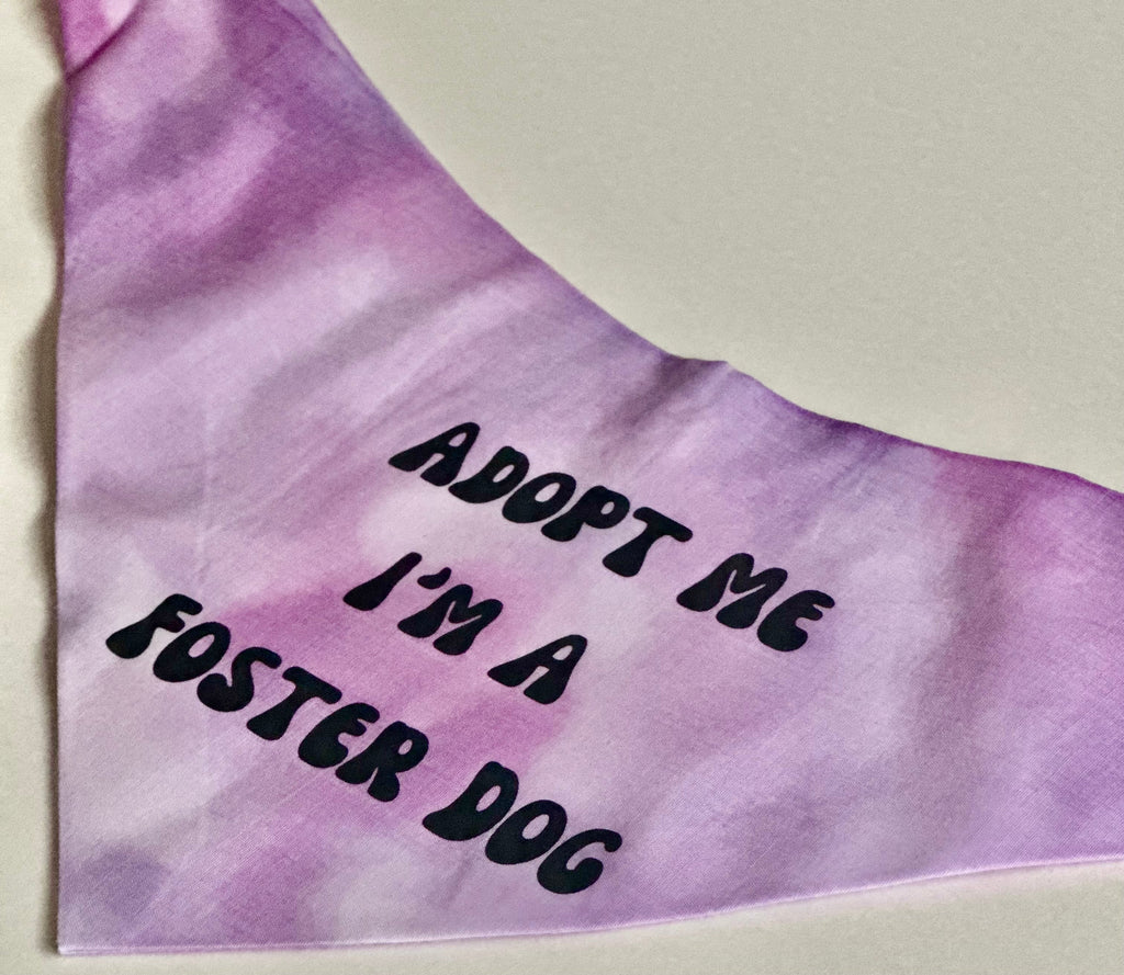 Adopt Me I'm A Foster Tie Dye Dog Bandana
