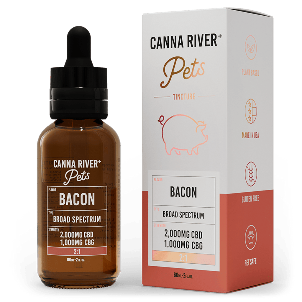 CBD Pet Tincture