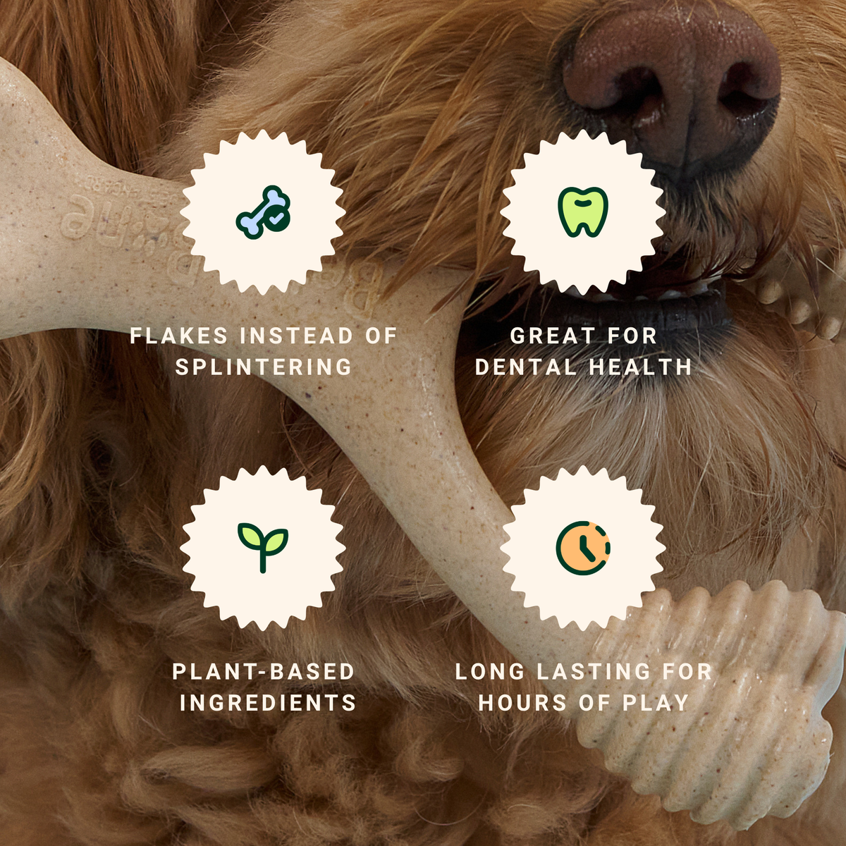 The SMALL WISHBONE BetterBone Plant-Based Chew Toy