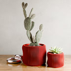 BUBBLY Planter | RED-2