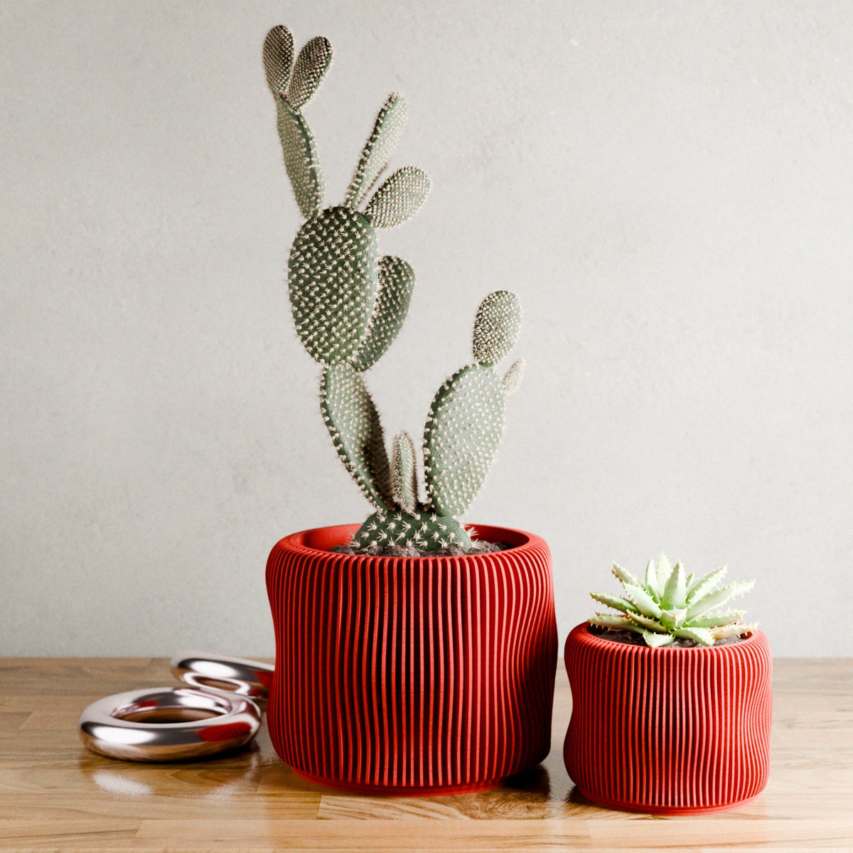 BUBBLY Planter | RED-2