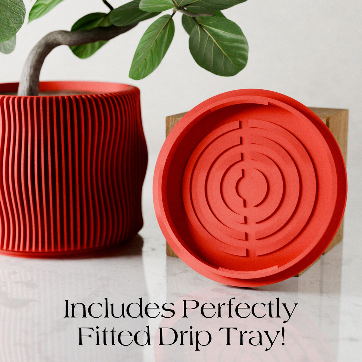 BUBBLY Planter | RED-3