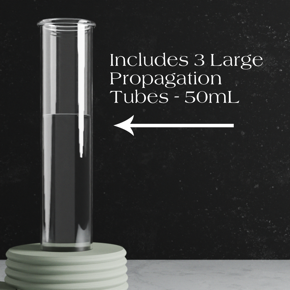 Triple Bubble Propagation Station-1