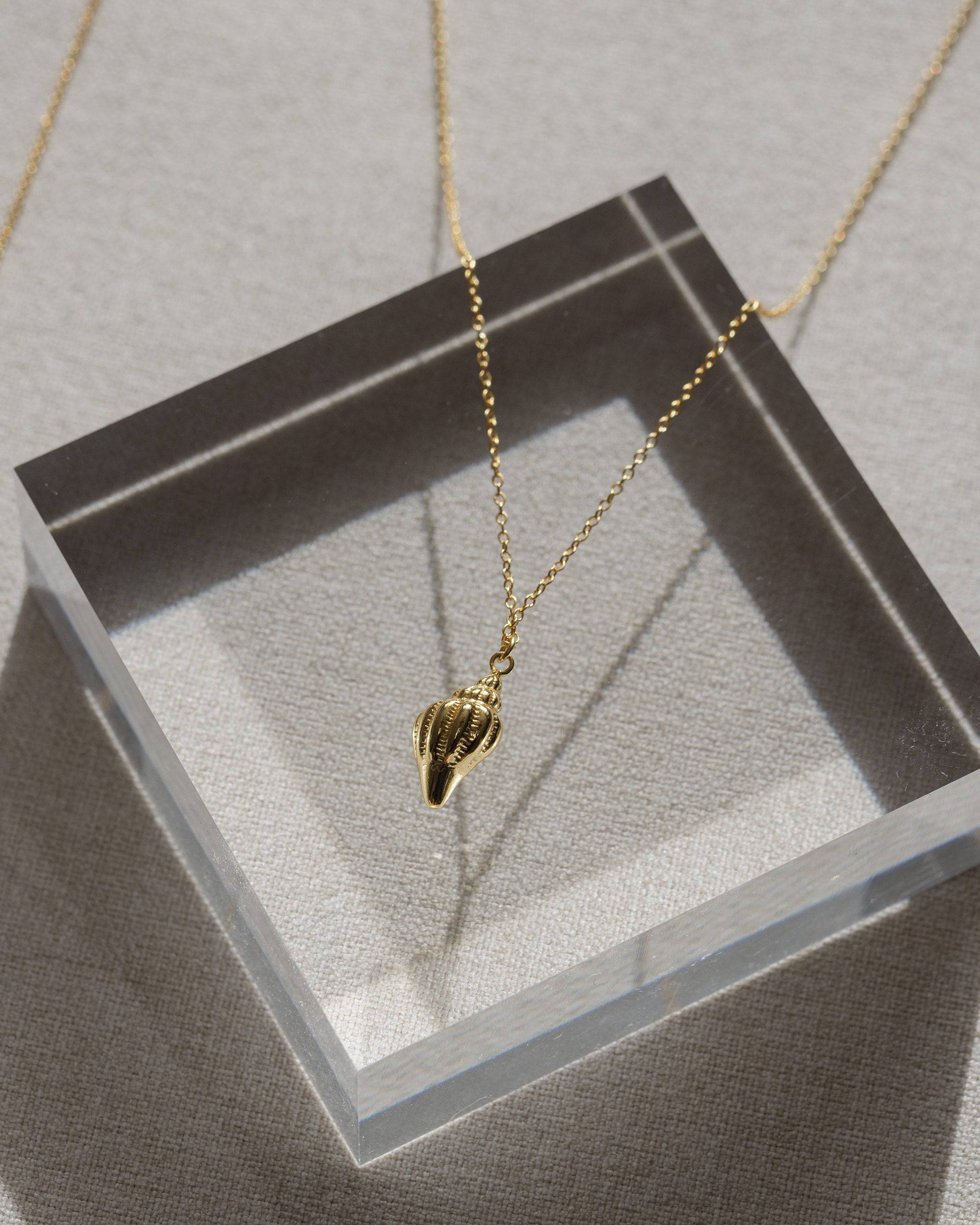 14k Gold Conch Shell Necklace