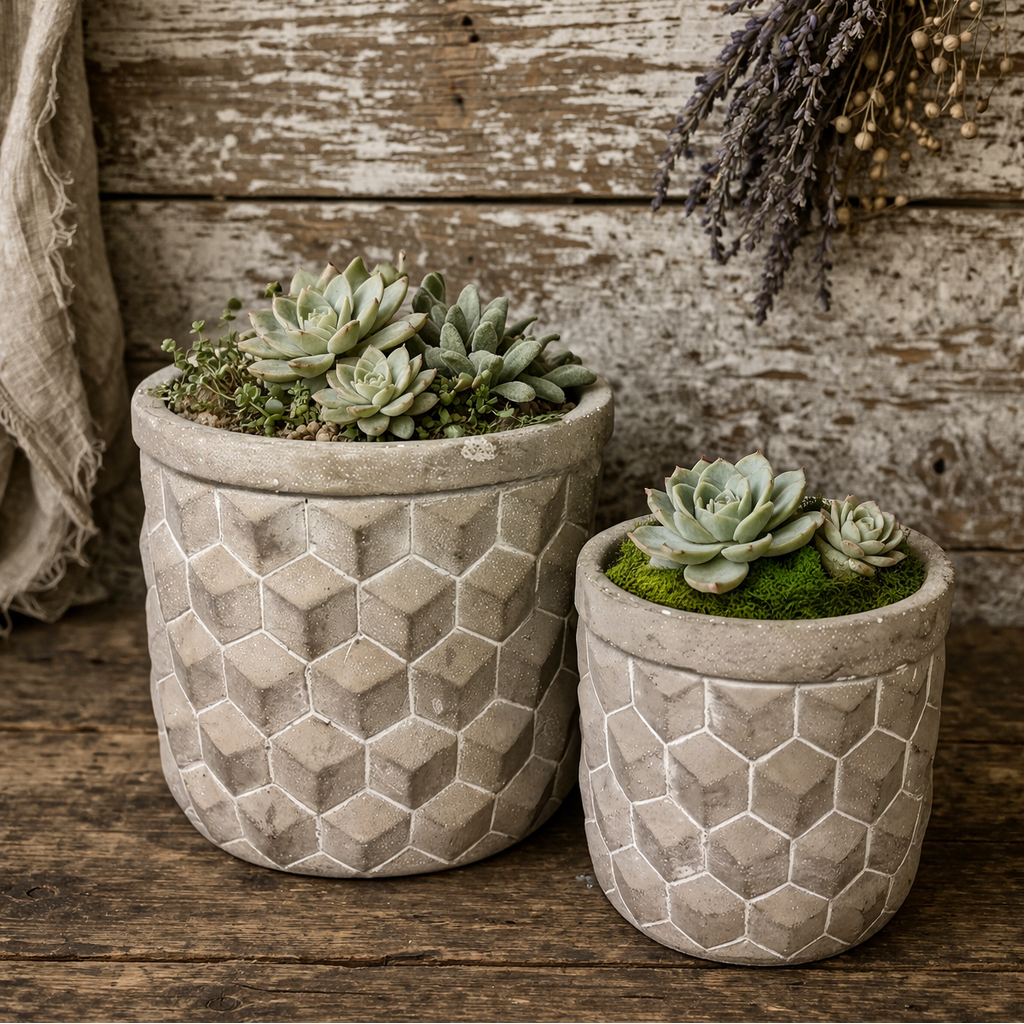 Two geometric-patterned planters with succulents on a wooden surface.
