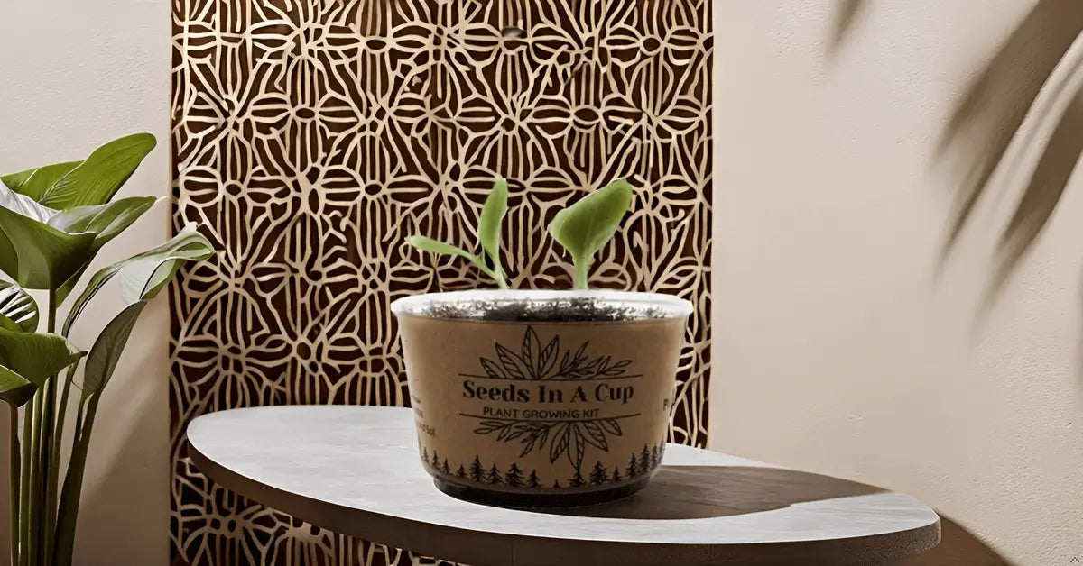 Seeds In A Cup® American Elm Tree Seed Starter Grow Kit